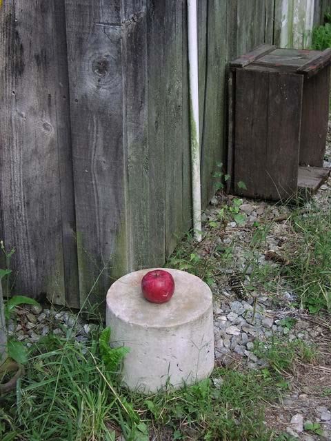 Apple-Picking-Apple-on-Pedestal-1