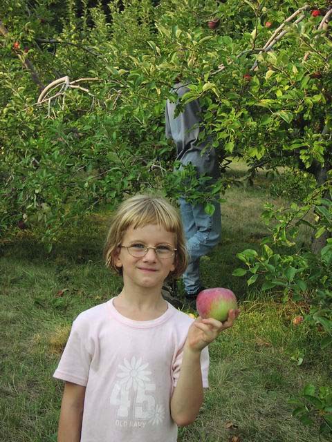 Apple-Picking-Ashley-7-brighten