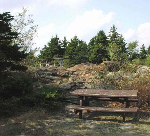 Mt-Pak-Monadnock-Nature-Shots-01-crop