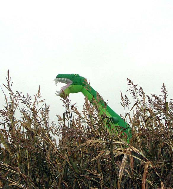 Corn-Maze-Dinos-15-Nessie-Cornfield