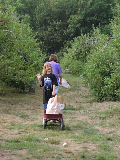 apple-picking-ashley&lois-01