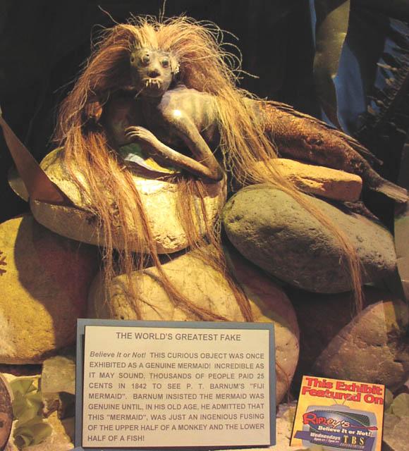 ac-ripleys-fiji-mermaid