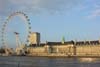 day-2-5-parliment-view-04-london-eye