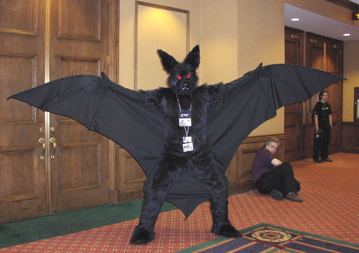 costumes-bat-01