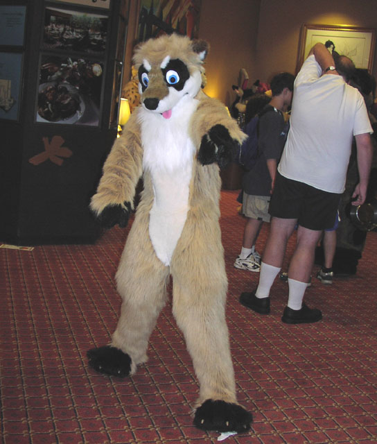 costumes-meerkat-02