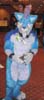 costumes-blue-wolf