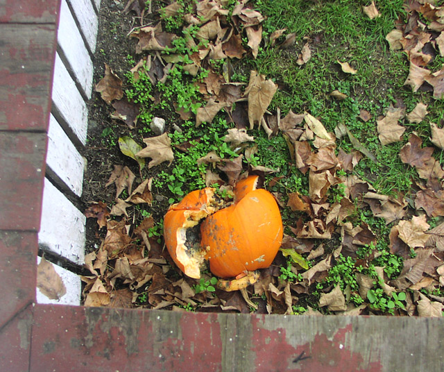 pumpkins-03