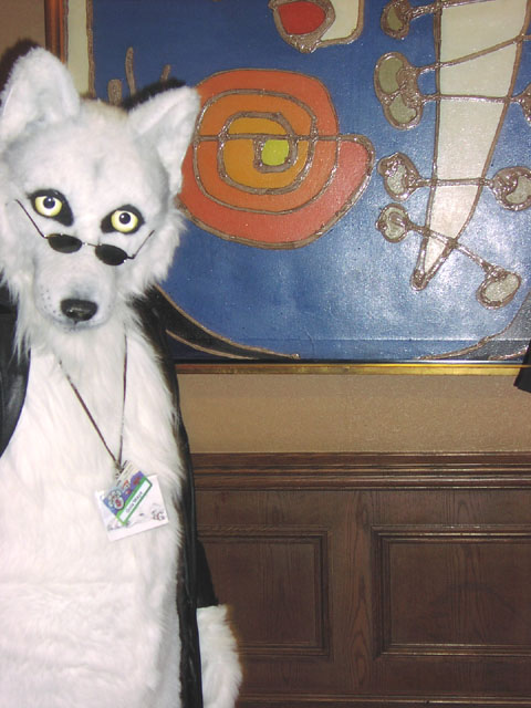 white wolf costume