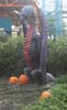 dorney-park-halloween-dragon